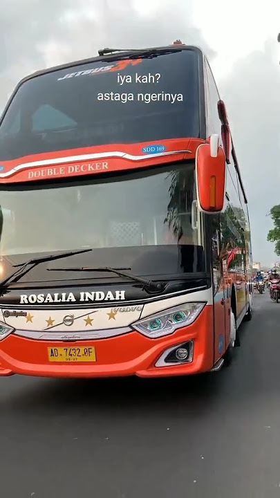 Story wa bus Rosalia indah Ft Skybird  #bus #busmania #storybus #cinematic #rosaliaindah #shorts