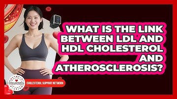 What Is The Link Between LDL And HDL Cholesterol And Atherosclerosis? - Cholesterol Support Network