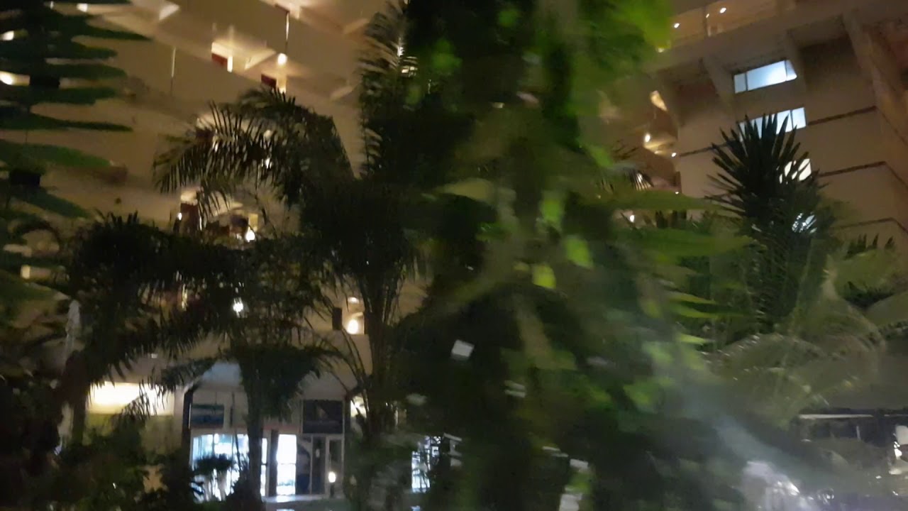 SHERATON ABUJA for BUFFET DINNER