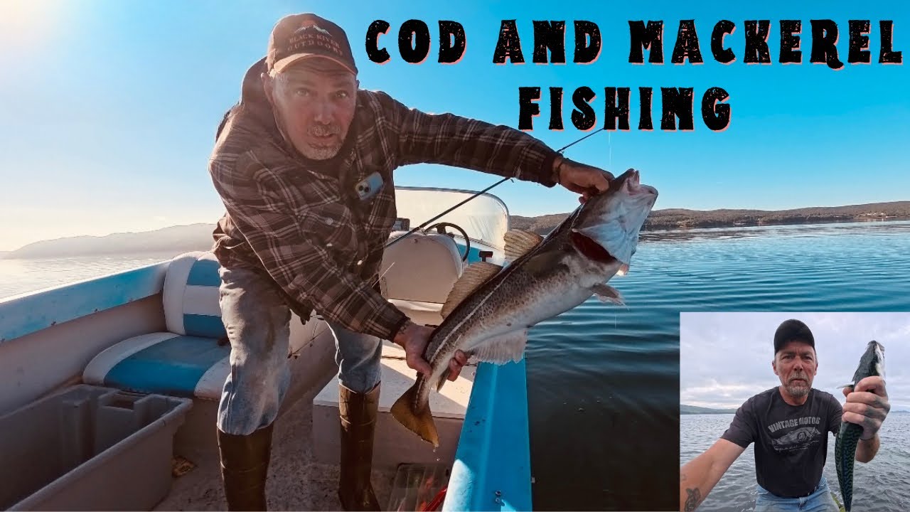 Trying for a mackerel and a few cod fish