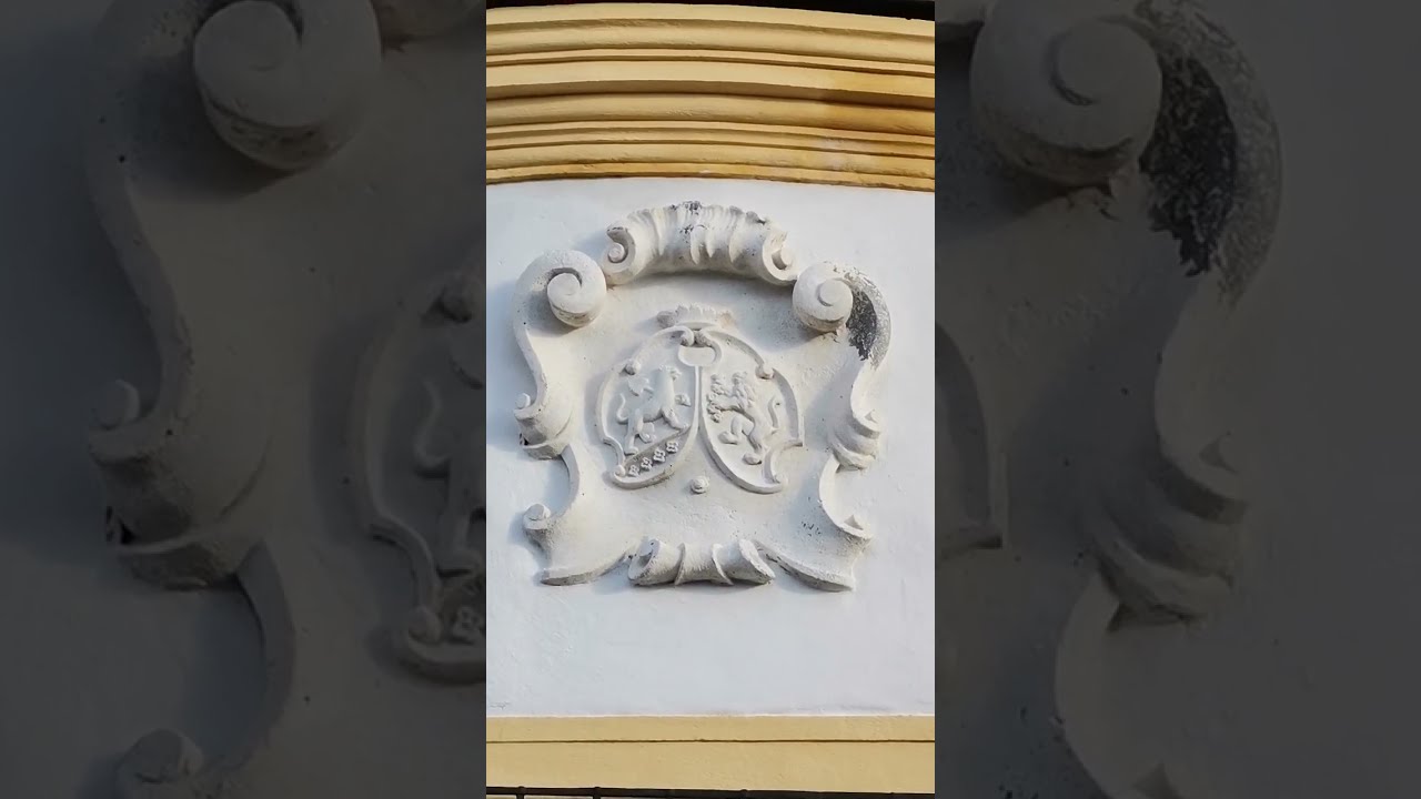 Nice film | Planet Life adventure / Dísz videó  | Földi élet kalandjai