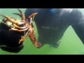 Подводный мир озера Талкас