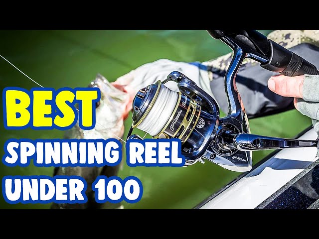 Best Spinning Reels Under $100 [ Top Models Reviewed! ] 