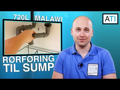 Video: Hvad er fordelene ved en sump?