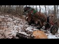 Logging With Horses, An uphill skid. 8