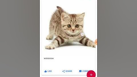 Complete Functional Social App Based on Firebase & Ionic framework