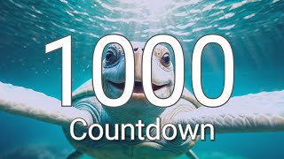 1000 Seconds Timer with Relaxing Music and Alarm