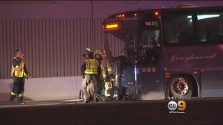 Famous Wrong-Way Driver Killed After Slamming Into Greyhound Bus Net Worth