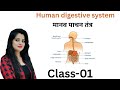 DIGESTIVE SYSTEM CLASS -2 | SCIENCE CLASS BY DIVYA MAM (SSC,HSSC,DELHI POLICE )