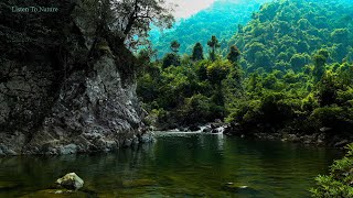 Forest sounds. birds chirping. soothing water sound. relax. relax. ASMR by Listen To Nature 1,200 views 1 month ago 6 hours