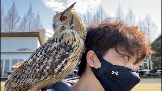 Man and male, let's go to the largest lake in Japan. by GEN3 OWL CHANNEL 204,703 views 3 years ago 8 minutes, 4 seconds