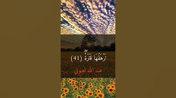 عجم ماتع سورة عبس #quran  #اكسبلور #لايك