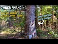 Owner Financed Land for Sale ON the National Forest in MO! Instant Owner Financing - ID#DB13