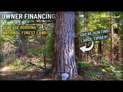 Owner Financed Land for Sale ON the National Forest in MO! Instant Owner Financing - ID#DB13