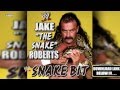 WWE Snake Bit Jake The Snake Roberts Theme Song AE Arena Effect mp3