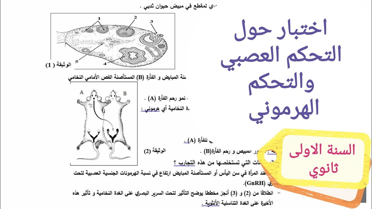 اختبار حول التحكم العصبي والتحكم الهرموني اولى ثانوي