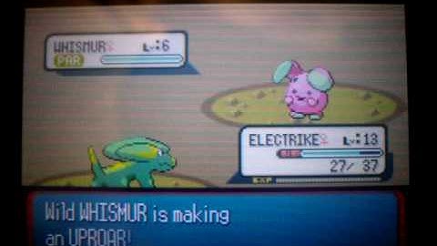 Shiny Whismur appears!