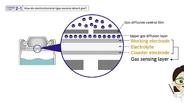 In this video, how do electrochemical-type sensors detect gas will be answered.