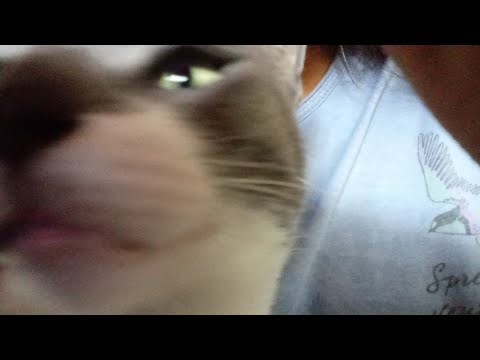 tuto de como unirse al canal de difusión de algún famoso etc 💗💗