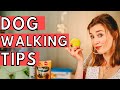 Dog Walking Tips and Tricks! | Kate Eveling