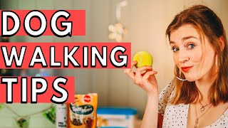 Dog Walking Tips and Tricks! | Kate Eveling