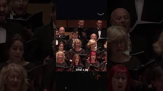 Beethoven’s Ode to Joy. #Beethoven #OdeToJoy #ClassicalMusic #Shorts #SymphonyNo9