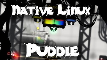 Gaming In Linux : Puddle(Native)