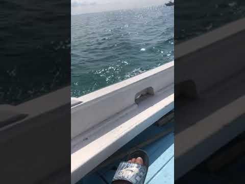 Tekne de sandalda alkollü snap ( alkol story ) deniz de snap