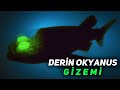 Derin Okyanus, Hayvanları Neden Canavarlara Dönüştürüyor?