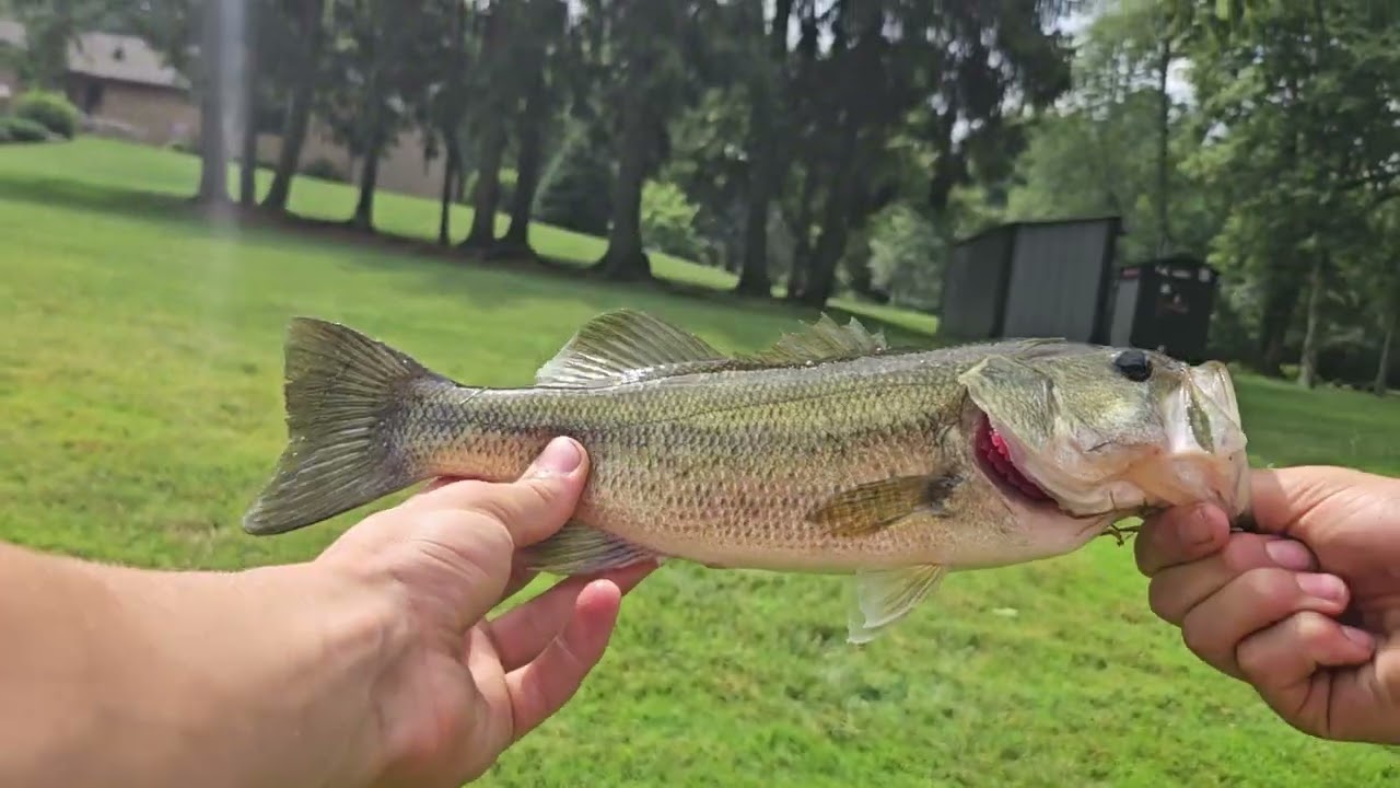 BASS FISHING in MURKY water (raw footage)
