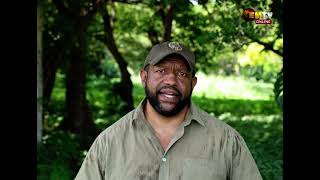 Download Lagu NOMANE'S X MAS MESSAGE MP3