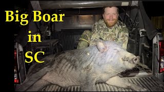 Wild Hog Hunting in South Carolina