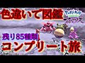 【レジェンズアルセウス】# 17色違いで図鑑コンプリートの旅残り85種類【目指せ登録者1000人】