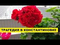 ТРАГЕДИЯ В КОНСТАНТИНОВКЕ