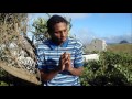BOXIS - AURA (Videoclipe Oficial) BOXIS - AURA (Videoclipe Oficial)