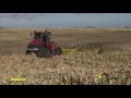 Degelman Pro-Till High Performance Tillage Cultivator Corn Field