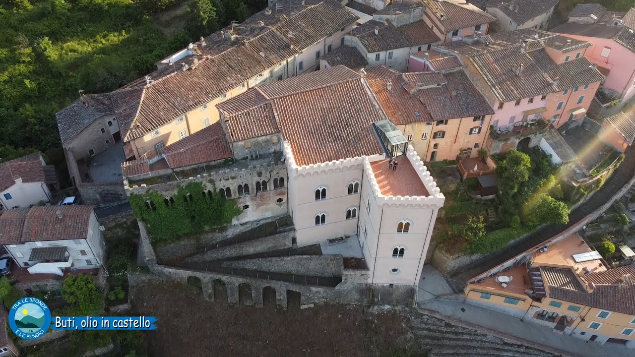 Olio in Castello, parte da Buti una nuova visione per l'olio e il territorio del Monte Pisano