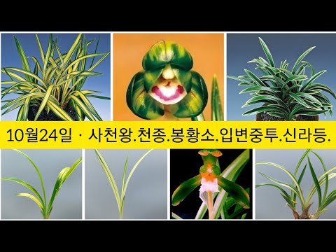 유튜브 썸네일
