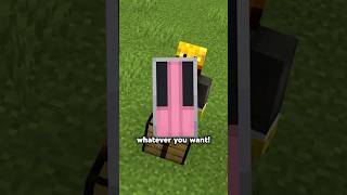 Your Shield Looks Ugly 😭