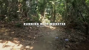 Zhiyun Smooth Q Test Video