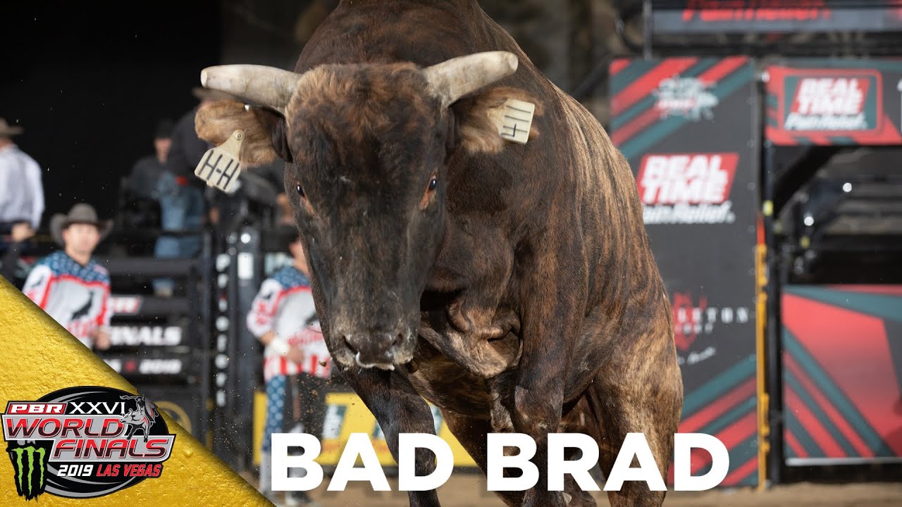 BUCKING AT WORLD FINALS: Bad Brad | 2019