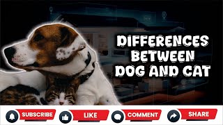 Differences Between Dog And Cat - Which Pet Is Best For You