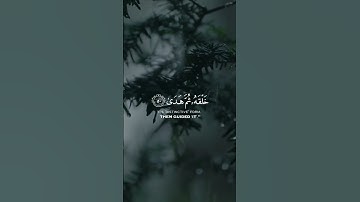 ﴿قَالَ فَمَنْ رَبُّكُمَا يَا مُوسَى﴾ ‏[طه ٤٩]. | القارئ شريف مصطفى | حالات واتس اب دينية