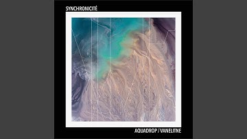 Synchronicité