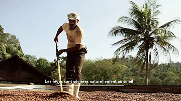 Où est fabriqué le chocolat Valrhona ? Où est fabriqué le chocolat Valrhona ?