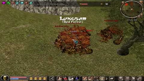 Metin2 UK TS getting 86lvl