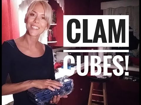 Clam Cubes!