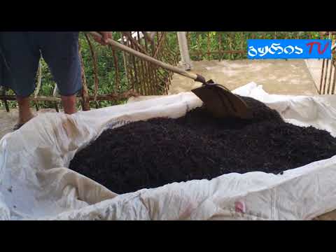 გურიის ახალი ამბები – \"ჩემი თემი, ჩემი სოფელი, ჩემი არჩევანი\" – მინიფაბრიკა ნაგომარში