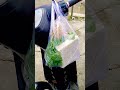 Pagi gabut kepikiran Tempe !!!!