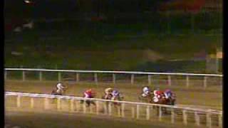 20091202_7.flv